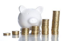 Static_pig-growing-earnings