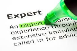 Static_expert